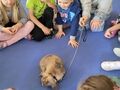IMG 20220930 WA0003