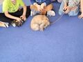 IMG 20220930 WA0005