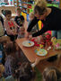 IMG 20240328 WA0047