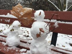 thumb IMG 0779.JPG