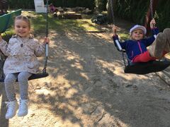 IMG 0387