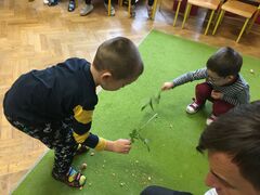 IMG 0567