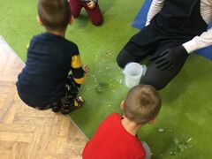 IMG 0568