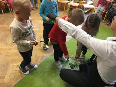 IMG 0569