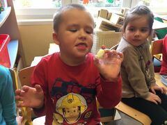 IMG 0598