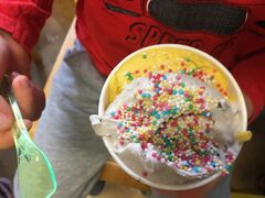 IMG 0607