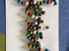 IMG 0888