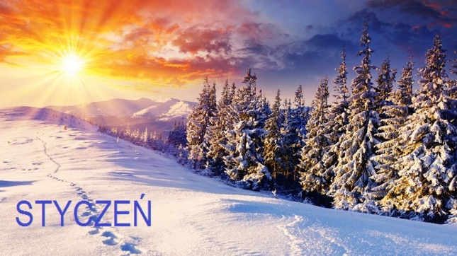 styczen 1200 628