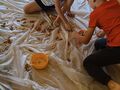 IMG 20230922 093518