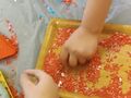IMG 20240223 102145