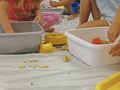 IMG 20231006 095653