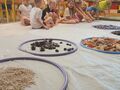 IMG 20231013 094445