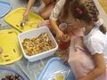 IMG 20231013 095708
