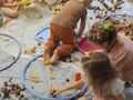 IMG 20231013 100836