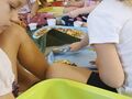 IMG 20231110 094006