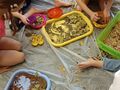 IMG 20240301 094508