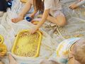 IMG 20240301 094522