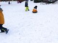 IMG 20240115 110415