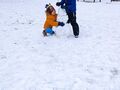 IMG 20240115 111224