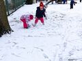 IMG 20240115 111246