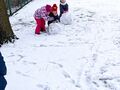 IMG 20240115 111248