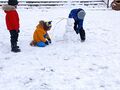 IMG 20240115 111651