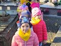 IMG 20221028 WA0020