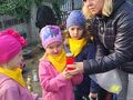 IMG 20221028 WA0021