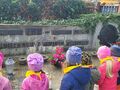 IMG 20221028 WA0026
