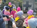 IMG 20221028 WA0029