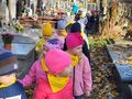 IMG 20221028 WA0045