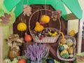 IMG 20221013 WA0002