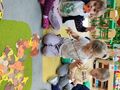 IMG 20221014 WA0008