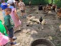 Zdjęcie od Magdalena10