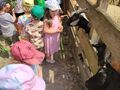Zdjęcie od Magdalena8