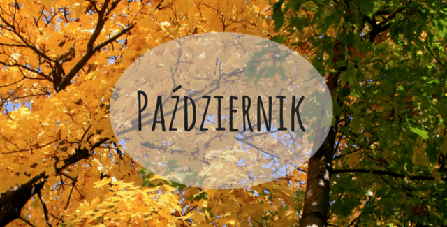 Październik e1570393002462 700x355