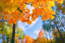 wrzesień