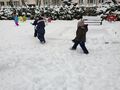 IMG 20221212 WA0035