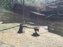 IMG 9921