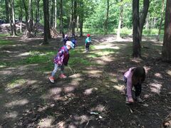 IMG 9926