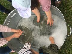 IMG 9937