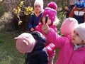 IMG20240314114823