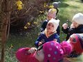 IMG20240320104930