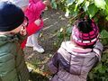IMG20240320104953