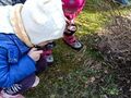 IMG20240320105052