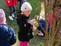 IMG20240320105108