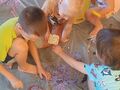 IMG 20240216 091732