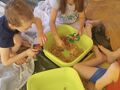 IMG 20240216 095107