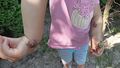 IMG20240607103830