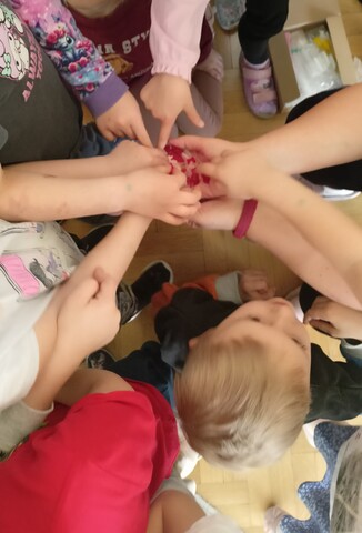 IMG20260325133245